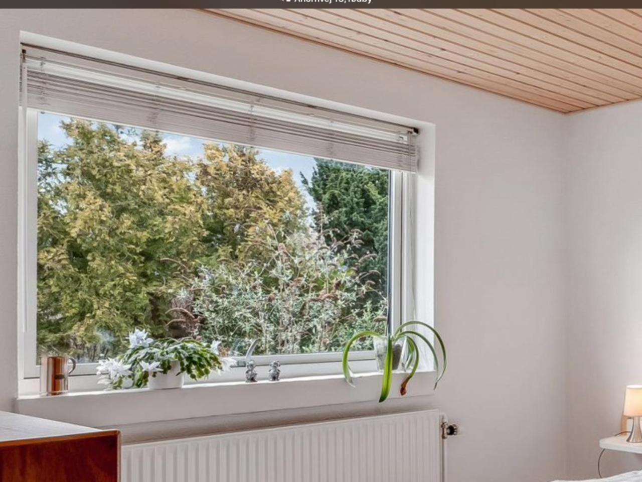 Homestay Fbc Business Rodby
